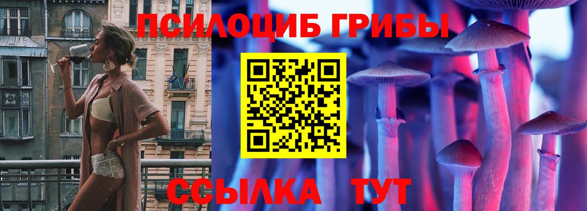 Псилоцибиновые грибы мицелий  Вход с VPN  Самара 