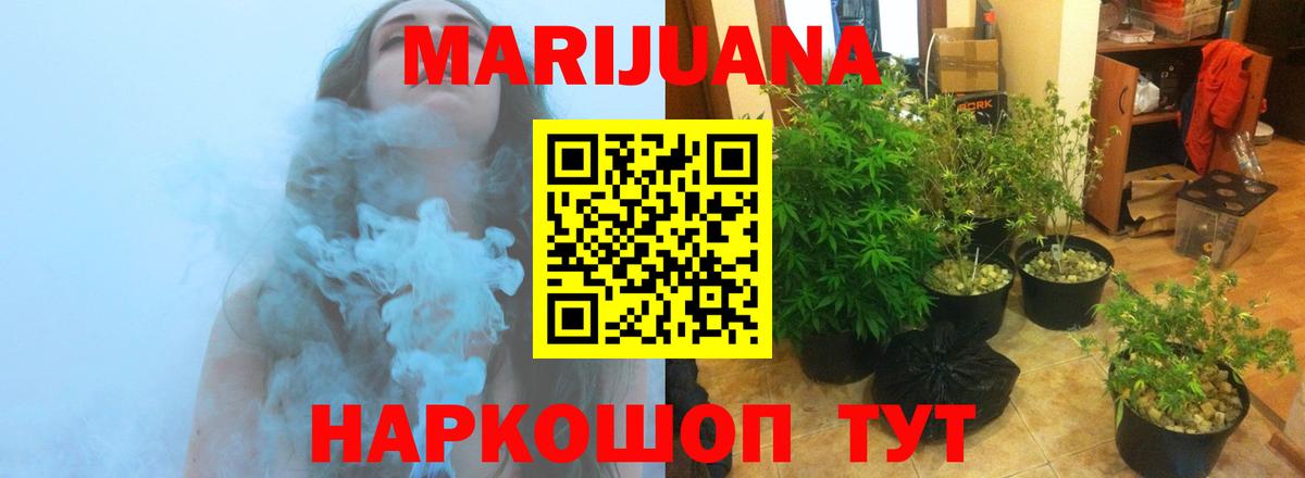 Каннабис планчик  Вход с VPN  Самара  Марихуана THC 21%  Бошки марихуана White Widow 